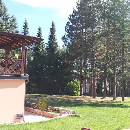 Apartmán San *